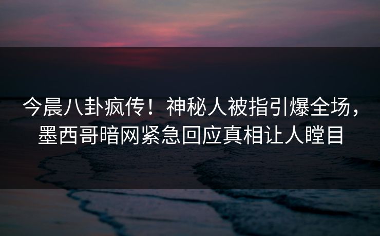 今晨八卦疯传！神秘人被指引爆全场，墨西哥暗网紧急回应真相让人瞠目