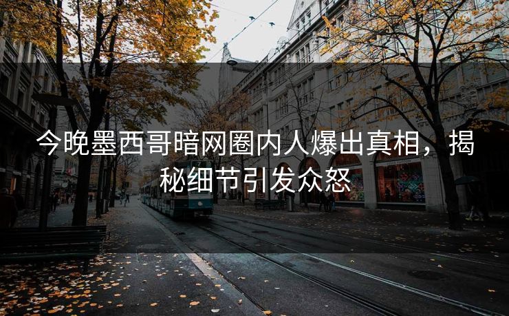 今晚墨西哥暗网圈内人爆出真相，揭秘细节引发众怒