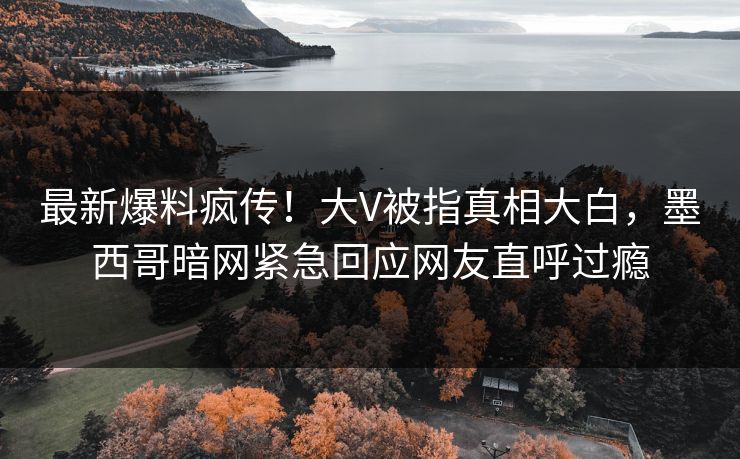 最新爆料疯传！大V被指真相大白，墨西哥暗网紧急回应网友直呼过瘾