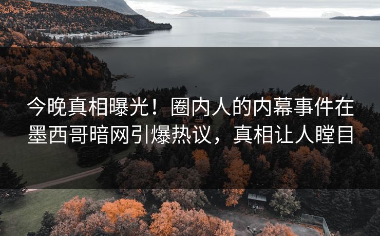 今晚真相曝光！圈内人的内幕事件在墨西哥暗网引爆热议，真相让人瞠目