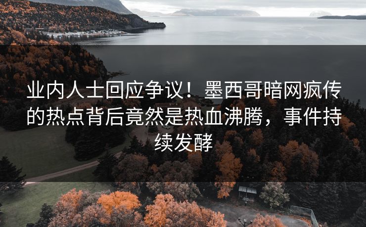 业内人士回应争议！墨西哥暗网疯传的热点背后竟然是热血沸腾，事件持续发酵