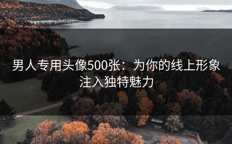 男人专用头像500张：为你的线上形象注入独特魅力