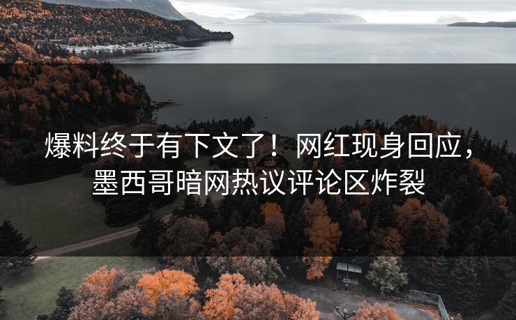 爆料终于有下文了！网红现身回应，墨西哥暗网热议评论区炸裂