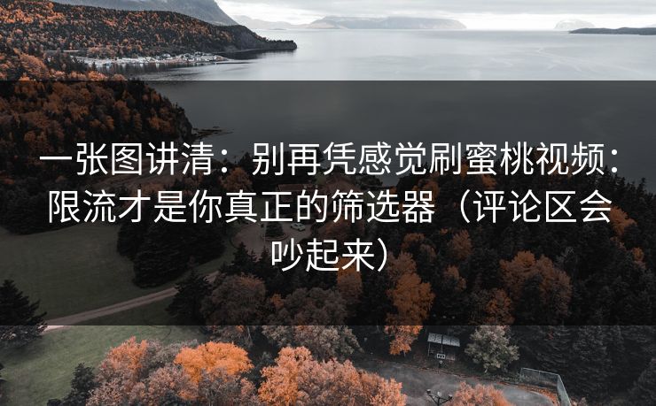一张图讲清:别再凭感觉刷蜜桃视频:限流才是你真正的筛选器(评论区会吵起来) 一张图讲清:别再凭感觉刷蜜桃视频:限流才是你真正的筛选器(评论区会吵起来)